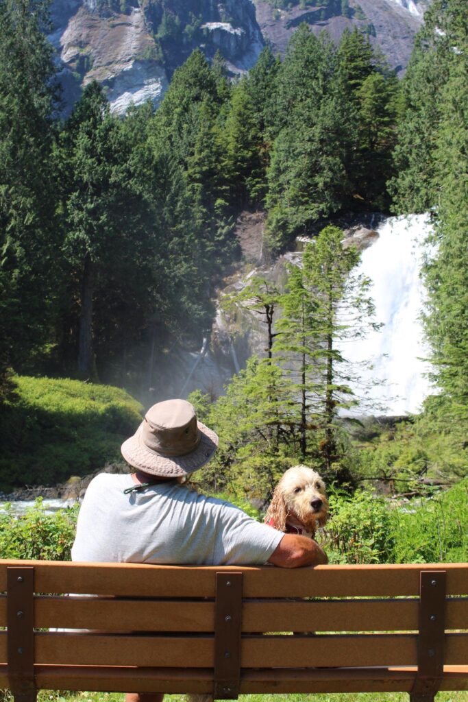 271197192 321762566625913 1880212897280349016 n